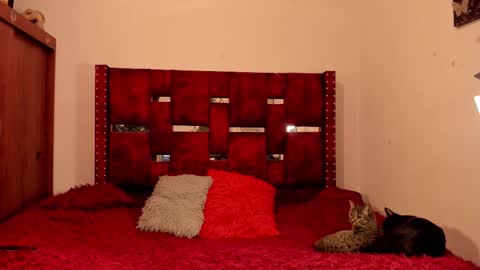  MELANIE  online show from March 2, 3:55 am