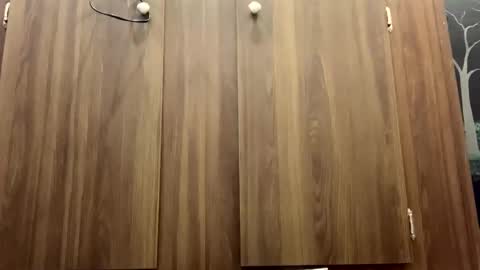 mikeylikesit2222 online show from November 23, 5:11 pm