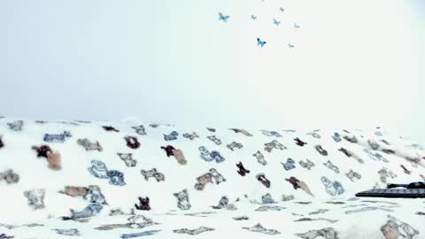  Nice To Meet you  Welcome here online show from April 28, 9:19 pm