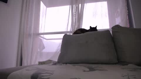 miloslove online show from February 14, 11:35 am