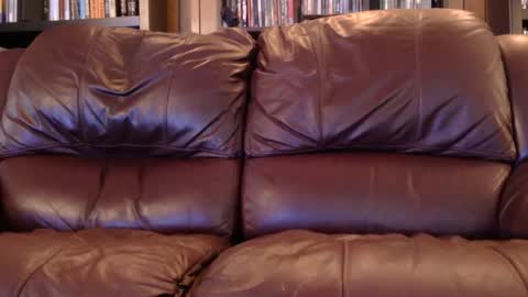 misohoney007 online show from April 6, 11:33 am