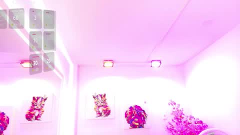 Melanie online show from March 21, 12:21 pm