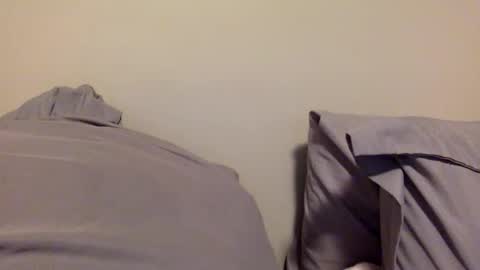 Maci online show from January 15, 12:03 pm