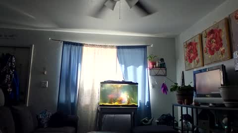 missblueyes92 online show from September 24, 8:59 pm
