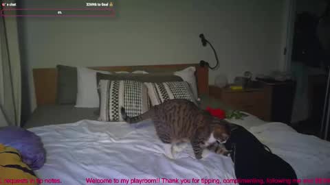 missemmbeex online show from March 2, 8:59 pm