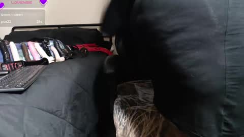 MissTajaa online show from November 15, 5:31 am