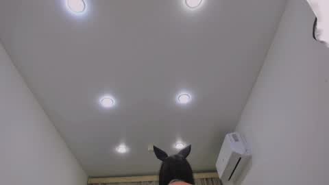 MissXXXL online show from April 2, 1:51 pm