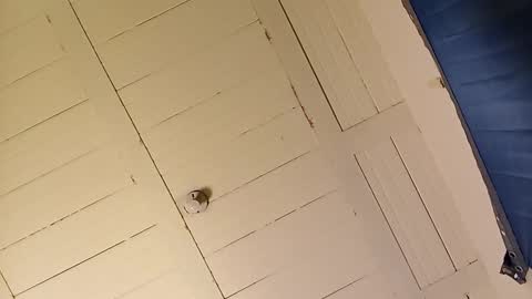 MoonLipson online show from October 30, 12:44 am