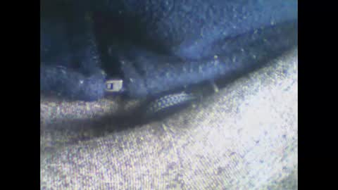 mmm0666 online show from December 22, 10:49 am