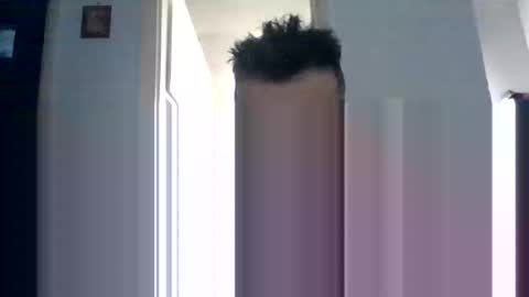 mmpempis81 online show from September 25, 4:52 am