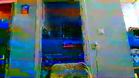 mmpempis81 online show from November 7, 3:47 pm