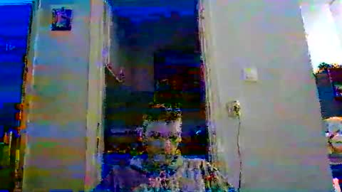 mmpempis81 online show from November 5, 5:15 pm