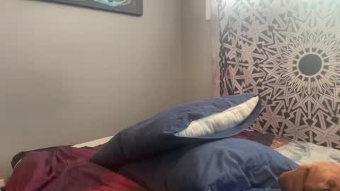 MNTuiLa online show from February 15, 3:39 pm