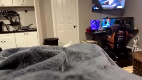 moethecheater7 online show from December 2, 2:54 am