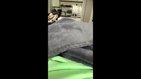 moethecheater7 online show from February 8, 2:20 pm