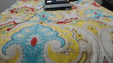 Molly And Brad online show from September 22, 12:48 am