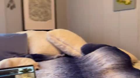 Mia  online show from January 6, 2:58 pm