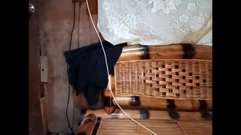 anne online show from March 2, 1:29 pm