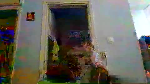 mppempis81 online show from January 5, 6:44 pm