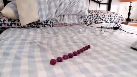 Laly online show from October 9, 7:36 am