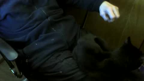 muller520 online show from February 9, 5:05 pm