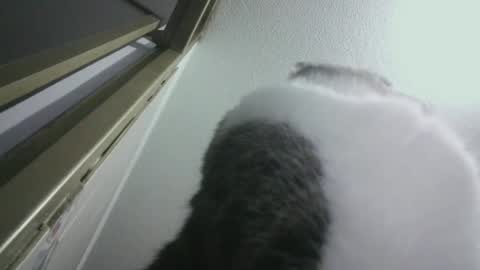 mumtaz85 online show from January 17, 1:15 am