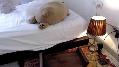   online show from March 3, 5:53 pm