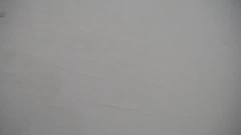 musaleva303av online show from January 10, 3:12 am