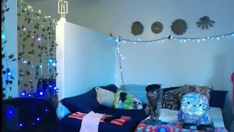 Snapshot of mycock4u247 chatting on February 22, 1:00 am LA MARIPOSA DE MARICOPA online show from February 22, 1:00 am