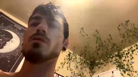n_bwc420 online show from September 24, 2:29 am