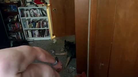 nakedcav online show from May 26, 8:04 pm