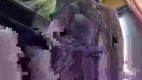 nakelabel202251 online show from February 18, 12:49 pm