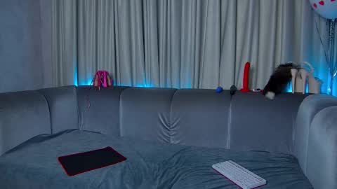 Nally online show from February 22, 8:07 am