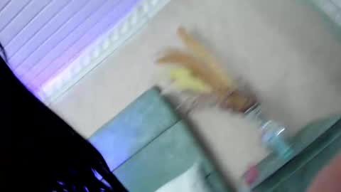 Naomy online show from December 19, 8:37 pm