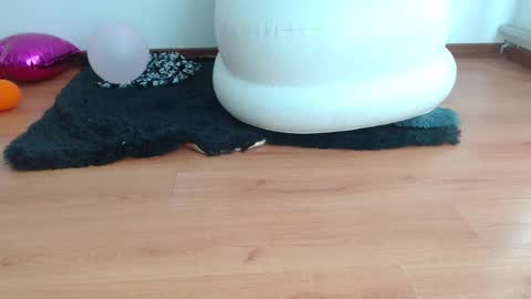 nath_dawson online show from February 16, 2:00 pm