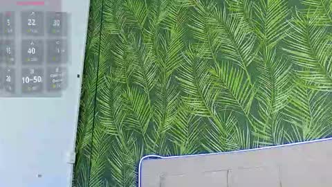 Nathaniel Park online show from February 8, 5:00 am