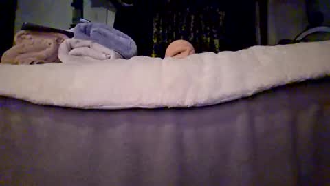 Haven online show from February 20, 3:14 pm