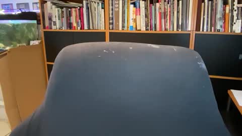 naughtydaddyla online show from November 2, 9:15 pm