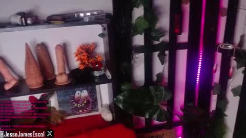 Snapshot of nauthy_jason chatting on December 3, 4:33 pm JOIN NOW BEBE online show from December 3, 4:33 pm