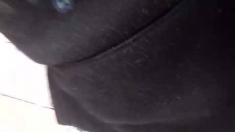 necolejordan08 online show from November 9, 8:00 pm