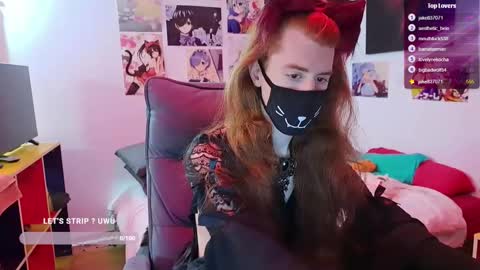 Neko online show from February 1, 2:03 pm