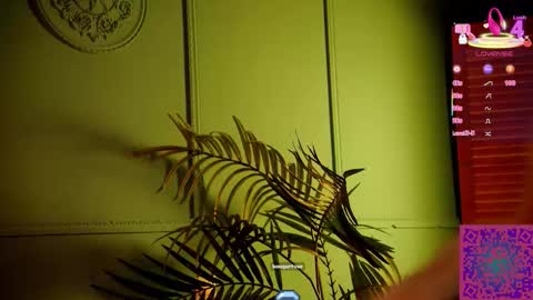 I am Nelly3 online show from September 30, 10:53 pm