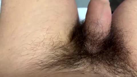 nelson906476 online show from November 8, 8:17 am