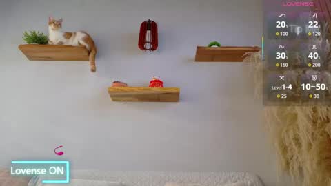 Jordan online show from May 4, 12:01 pm