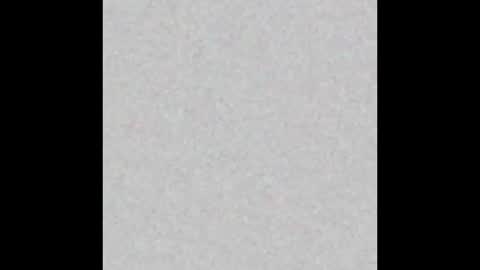 neophobia online show from November 1, 6:18 pm