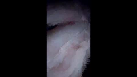 NvrSats911 online show from December 25, 10:06 am