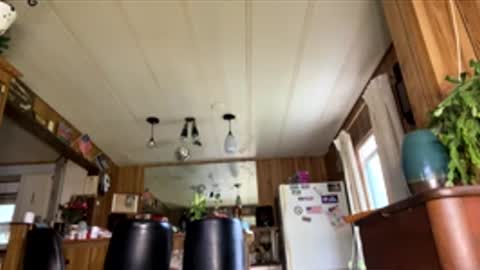 neversaynevrrr online show from April 18, 7:51 pm