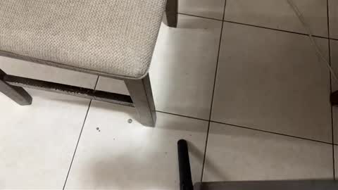 Carlos Nico online show from March 15, 9:24 am