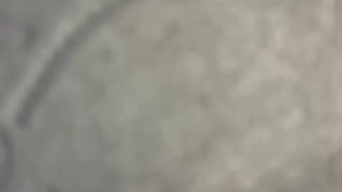 Nicoll  Independent model online show from April 15, 8:39 am