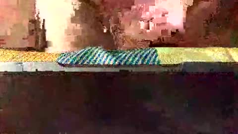 nikko196969 online show from October 8, 3:51 pm